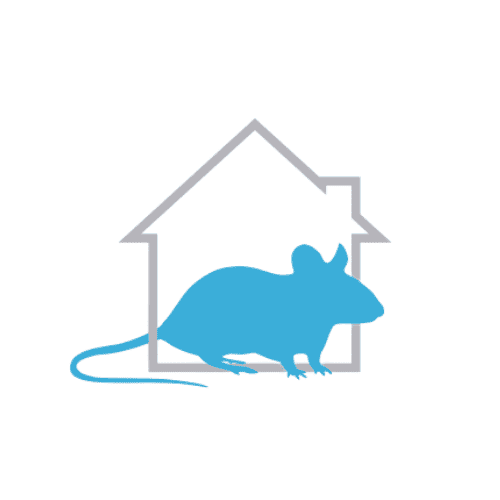 Softmouse 1