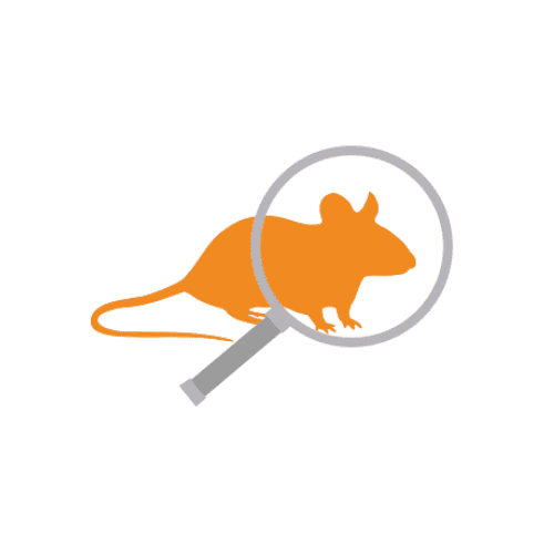 _Softmouse 2 (2)