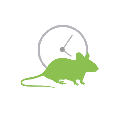 Softmouse 3